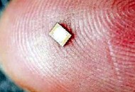 Mikrochip zur Implantation